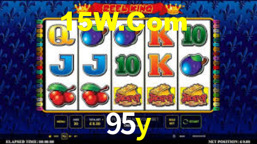 95y,95y.com